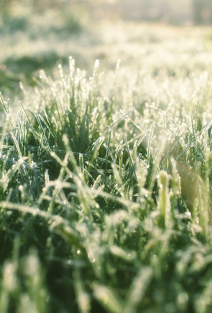 Photograph by Татьяна Абабкова