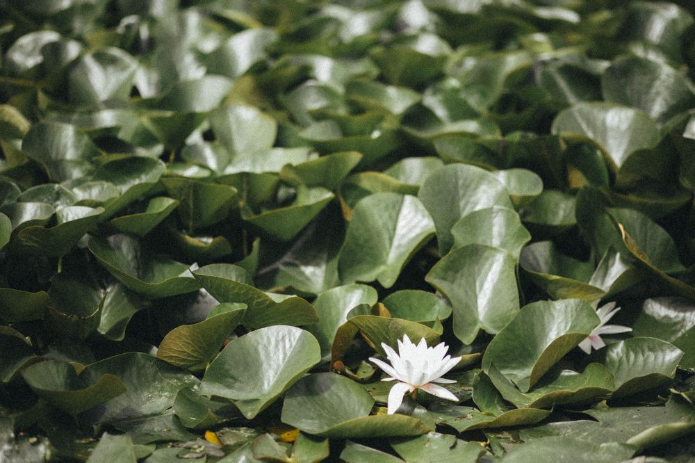 Фотография автора Yulia Babushkina