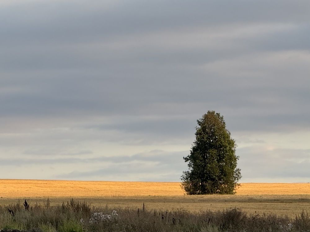 Фотография автора ГУЗАЛИЯ ГАНИЕВА