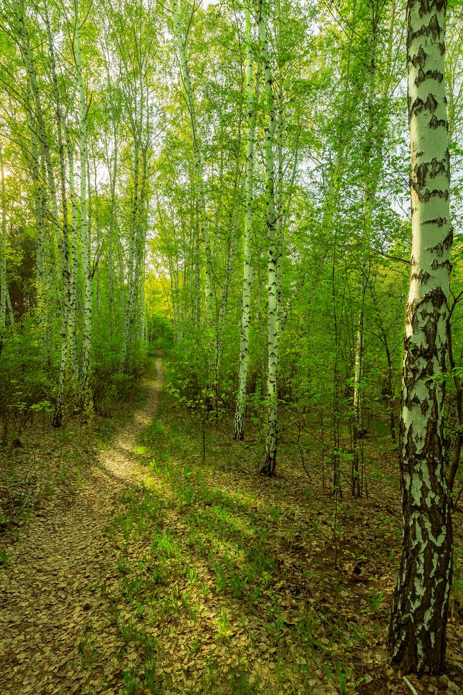 Photograph by Иван Логвинов