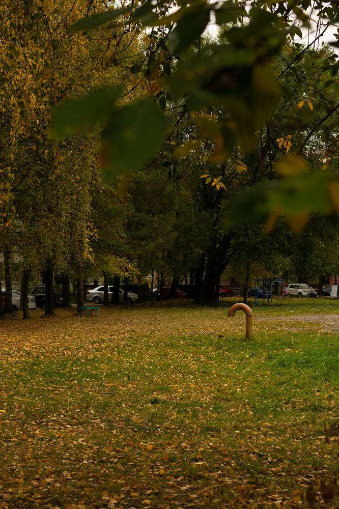 Photograph by Marry Kadr