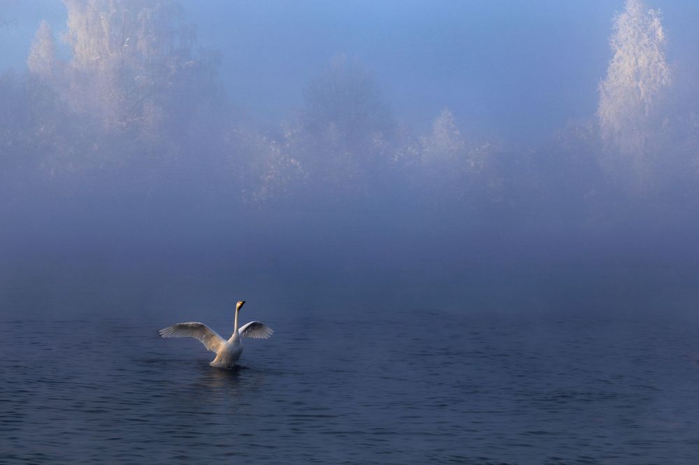 Photograph by Галина Хвостенко
