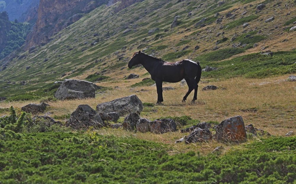 Photograph by Galina Tsmyg