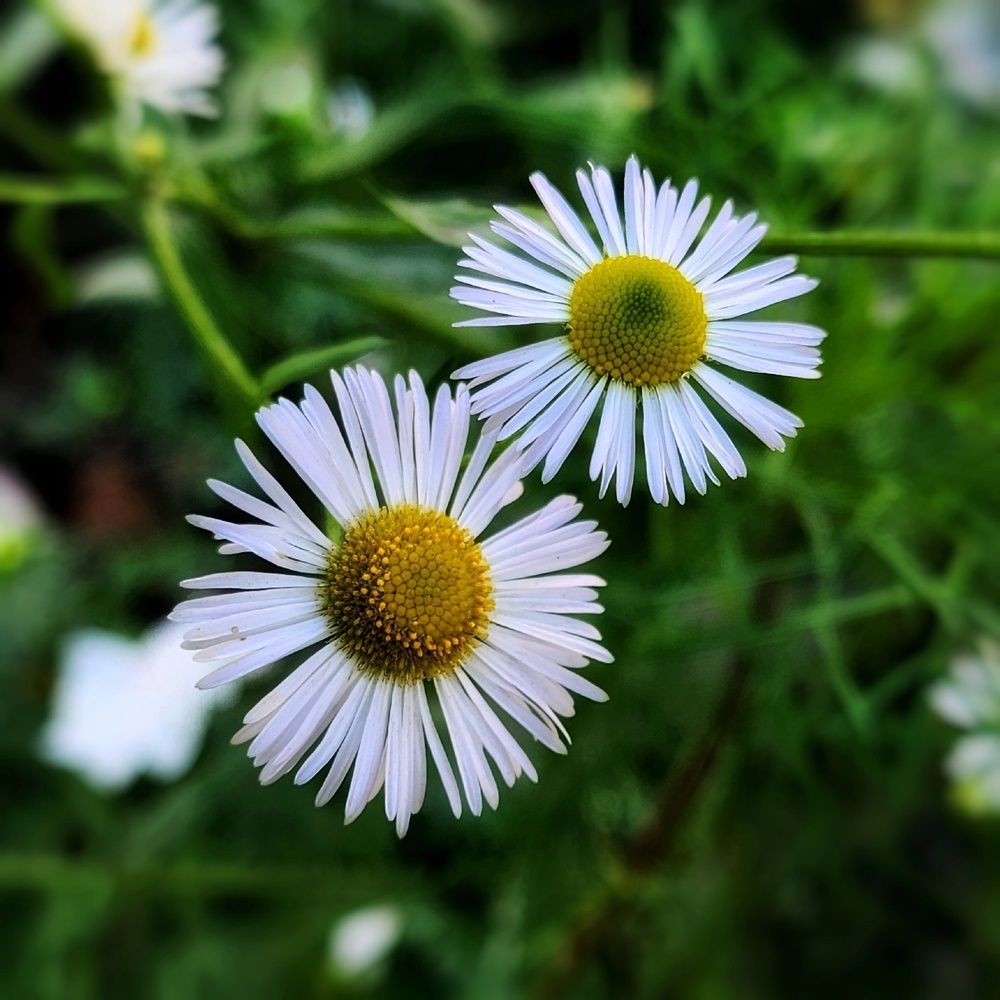 Фотография автора Татьяна Сякина