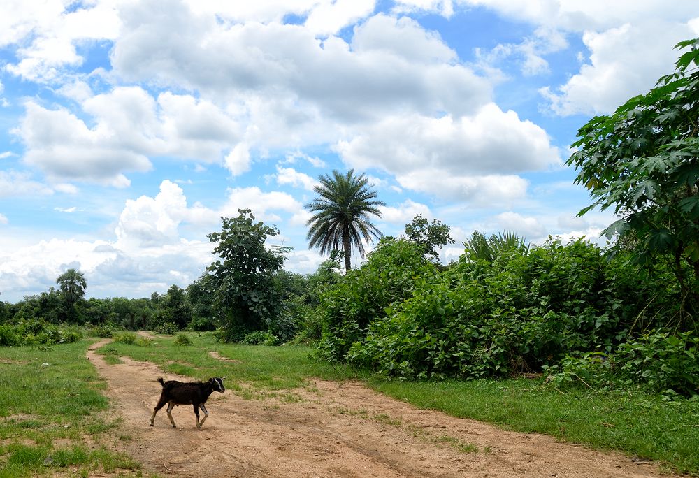 Photograph by Kaushik Dolui