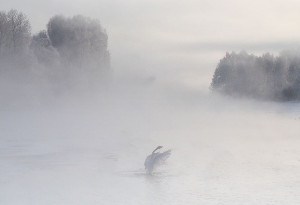 Photograph by Галина Хвостенко