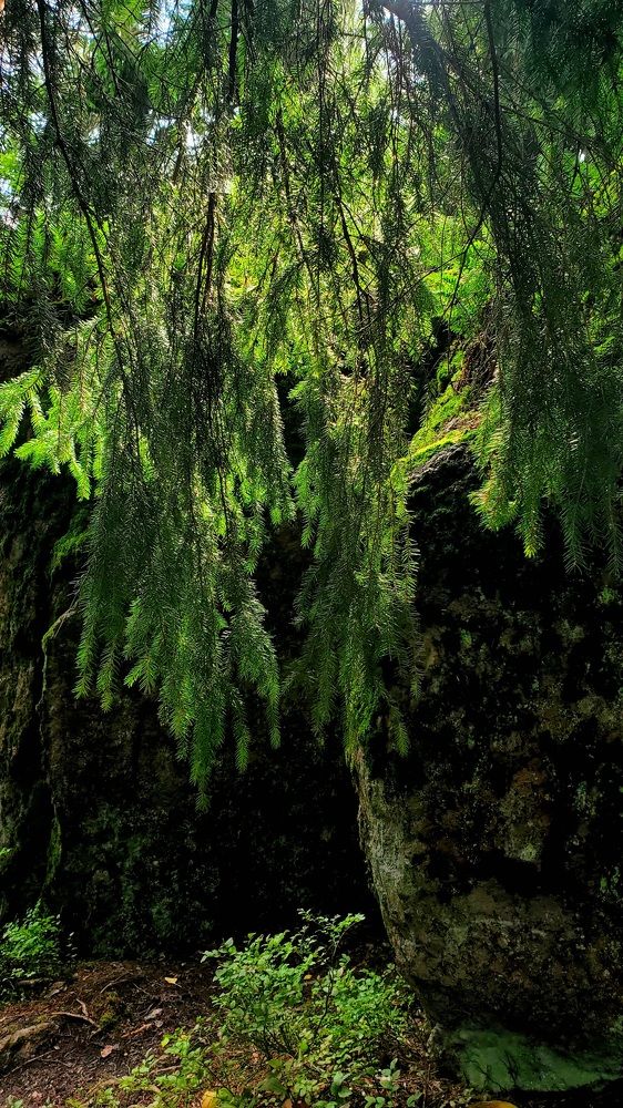 Photograph by Татьяна Пирс