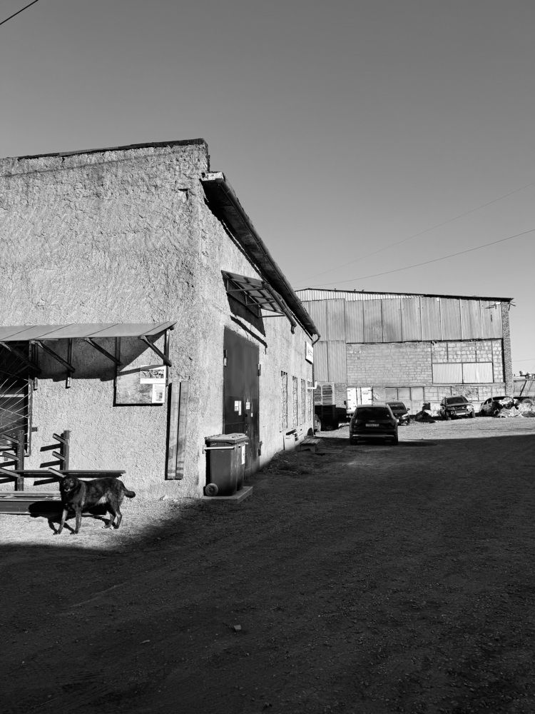 Фотография автора Ольга Васильева