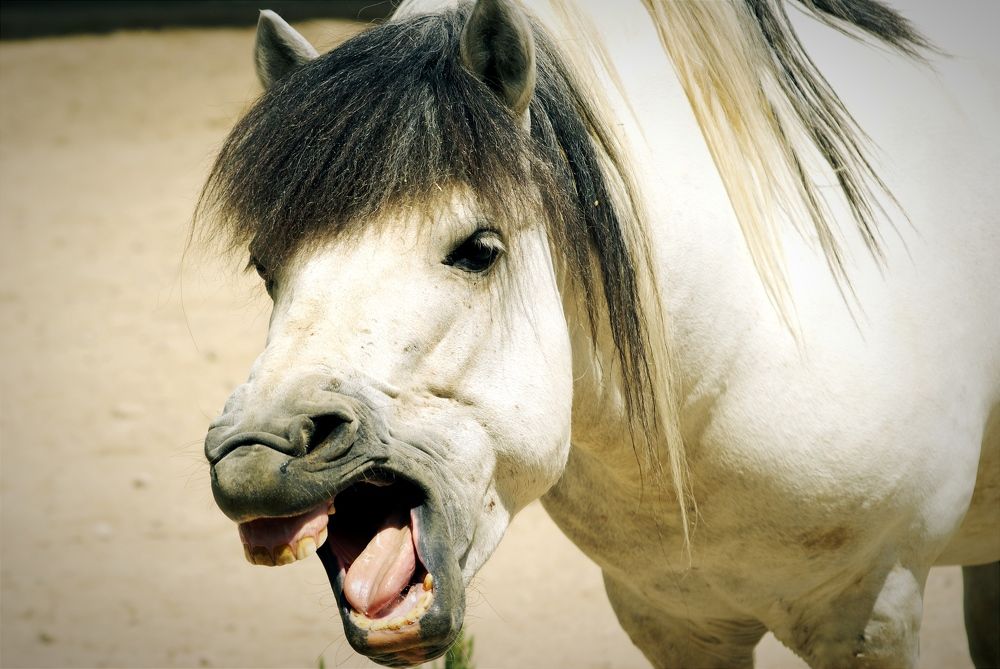 Photograph by Владимир Ким