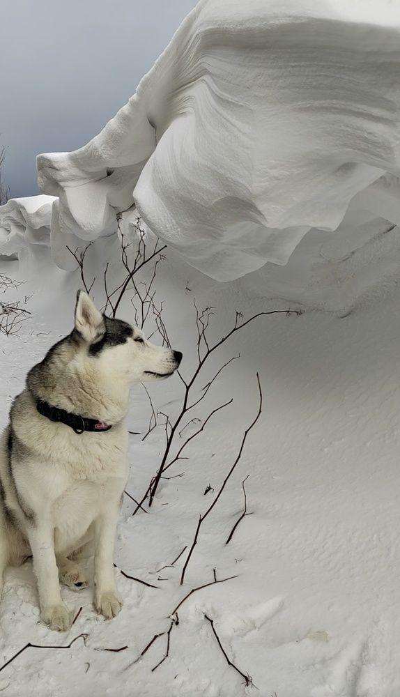 Белая стихия.