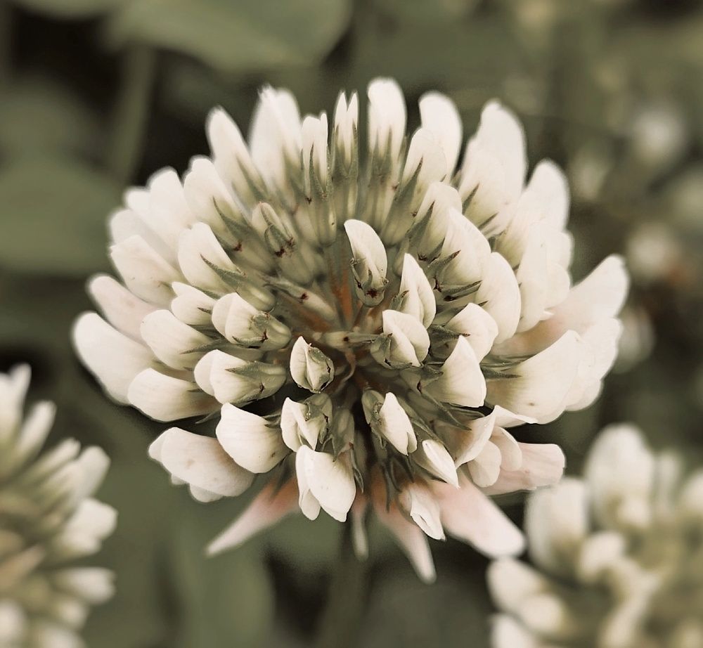 Фотография автора Татьяна Сякина