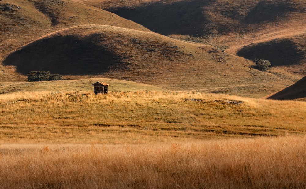 Photograph by Valdir Hobus