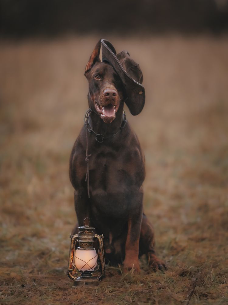 Photograph by Мария Клещенко