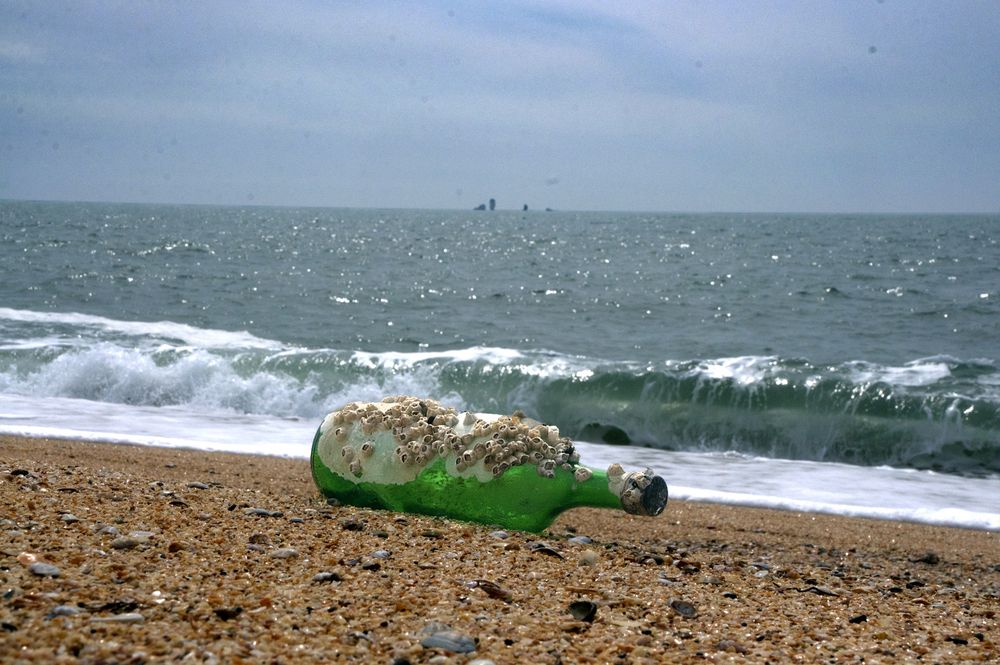 Photograph by Евгений Самулев