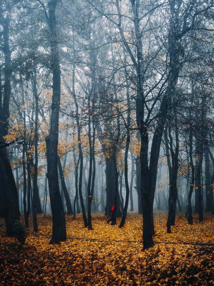 Photograph by Илья Цымбал