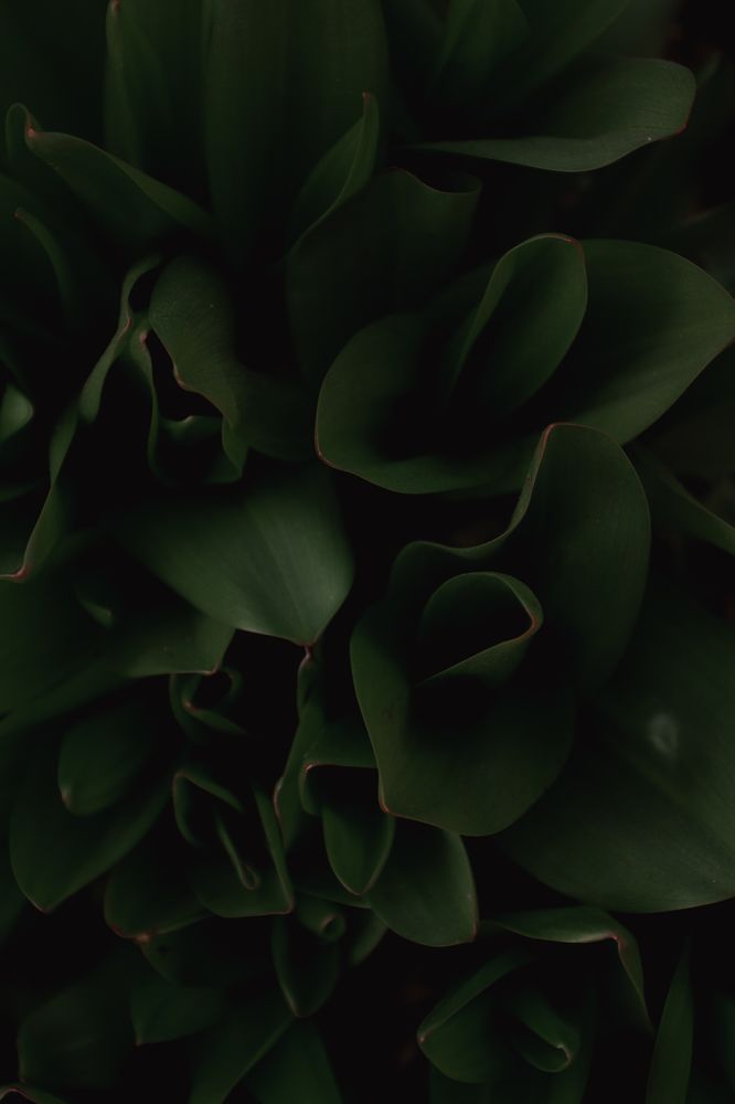 Photograph by Anastasiya Kobeleva