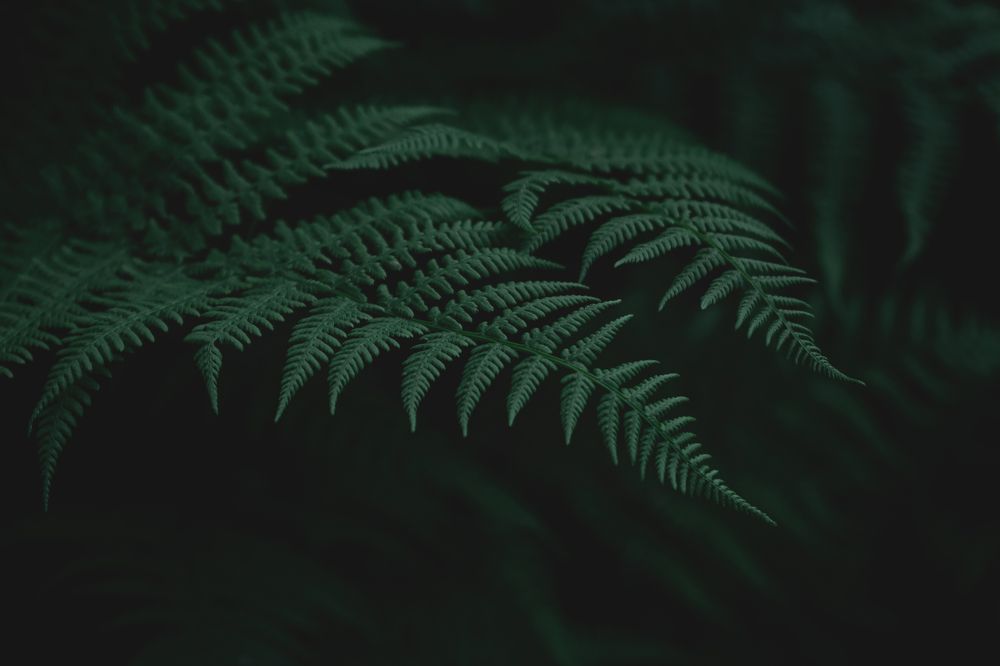 Фотография автора Алексей