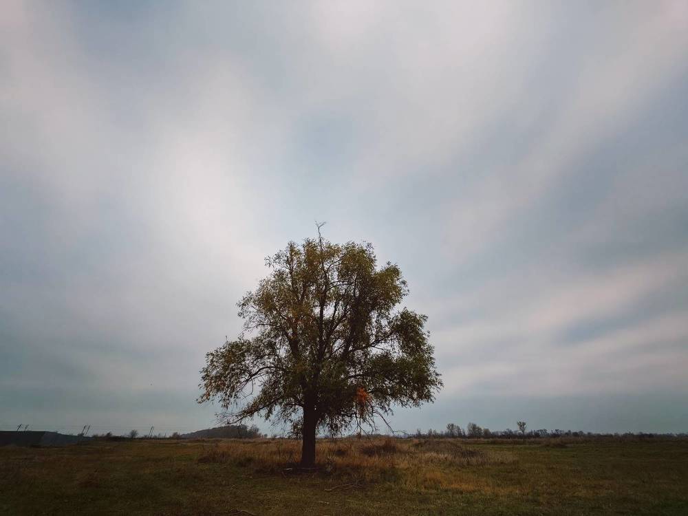 Фотография автора OXANA MARSOVA