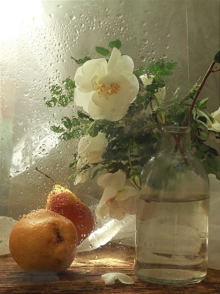 Photograph by Евсеева Валентина