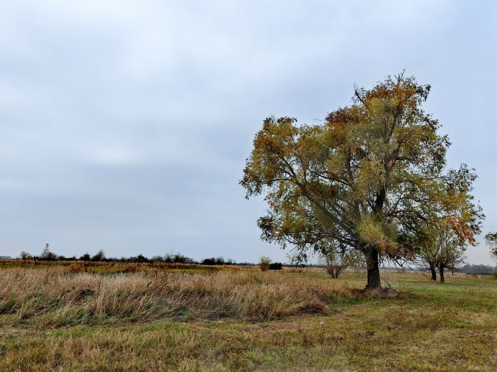 Фотография автора OXANA MARSOVA