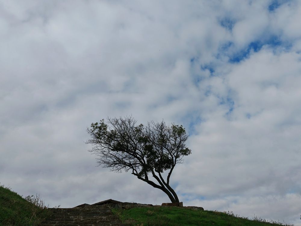 Фотография автора OXANA MARSOVA