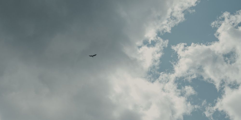 Photograph by Anastasiya Kobeleva