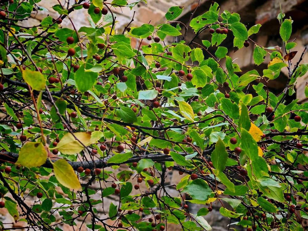 Фотография автора OXANA MARSOVA