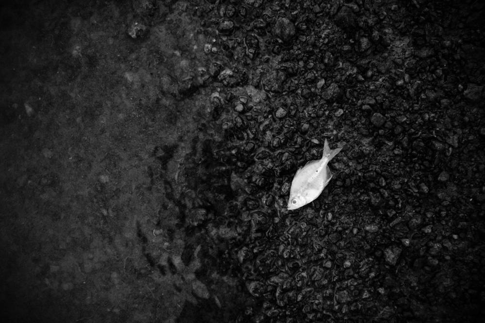 Photograph by Khoa Vo