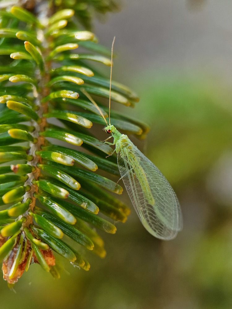 Photograph by Лариса Когтева