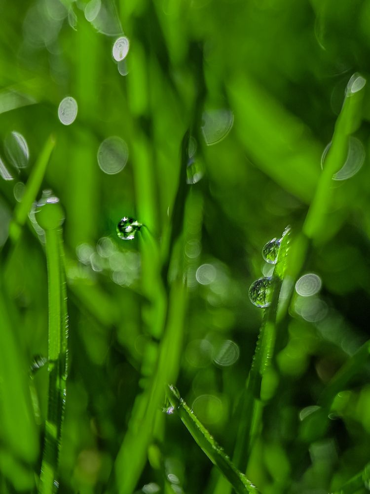 Photograph by Лариса Когтева