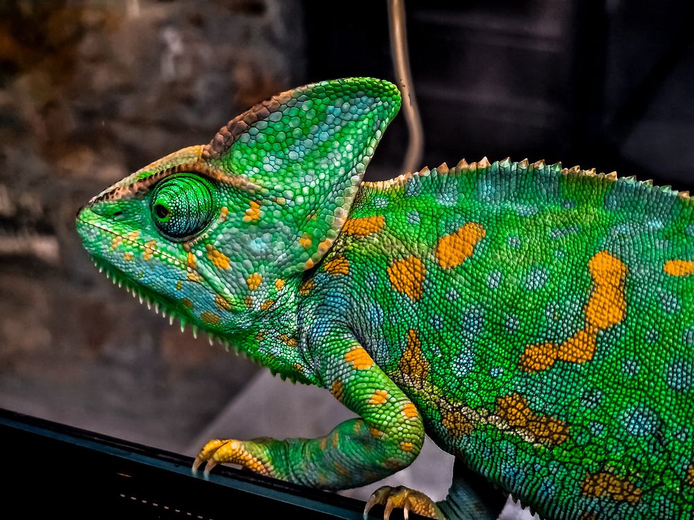 Photograph by Лариса Когтева