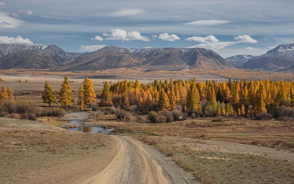 Photograph by Елена Павлова