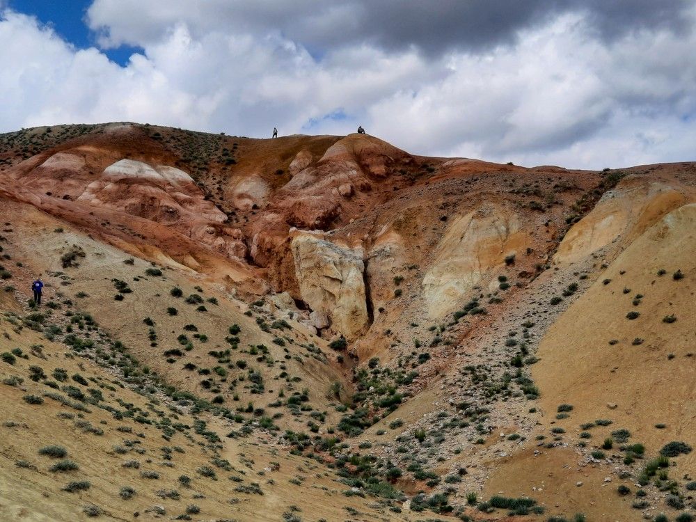 Фотография автора Елена Пикатова