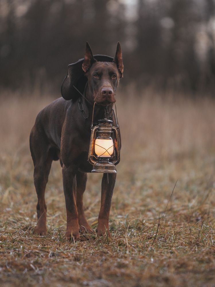 Photograph by Мария Клещенко