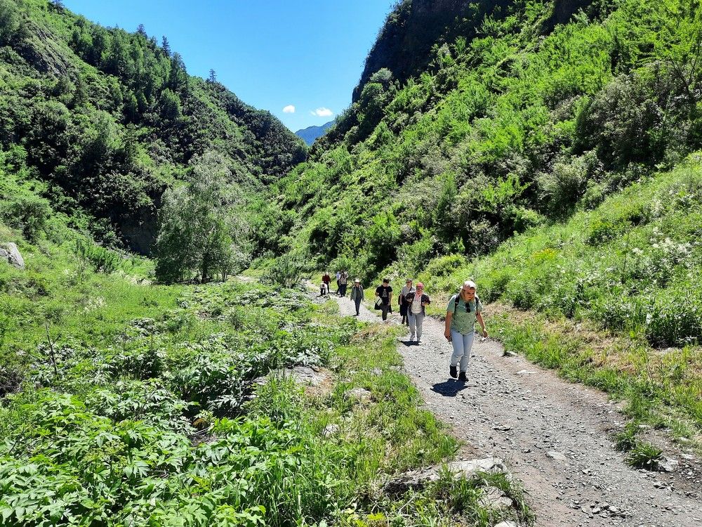 Фотография автора Елена Пикатова