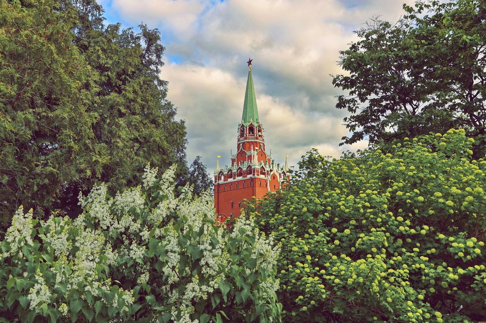 Photograph by Алексей Зимин