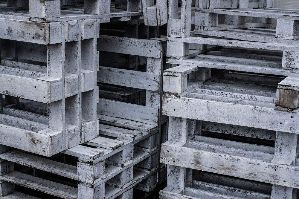 Photograph by Anastasiya Kobeleva