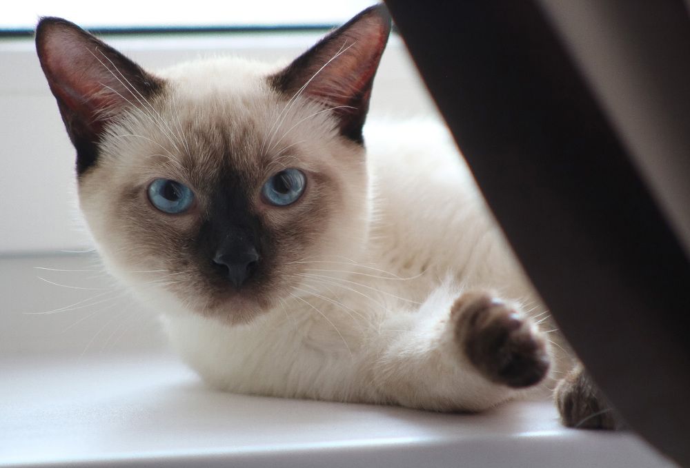 Photograph by Natasha Kim