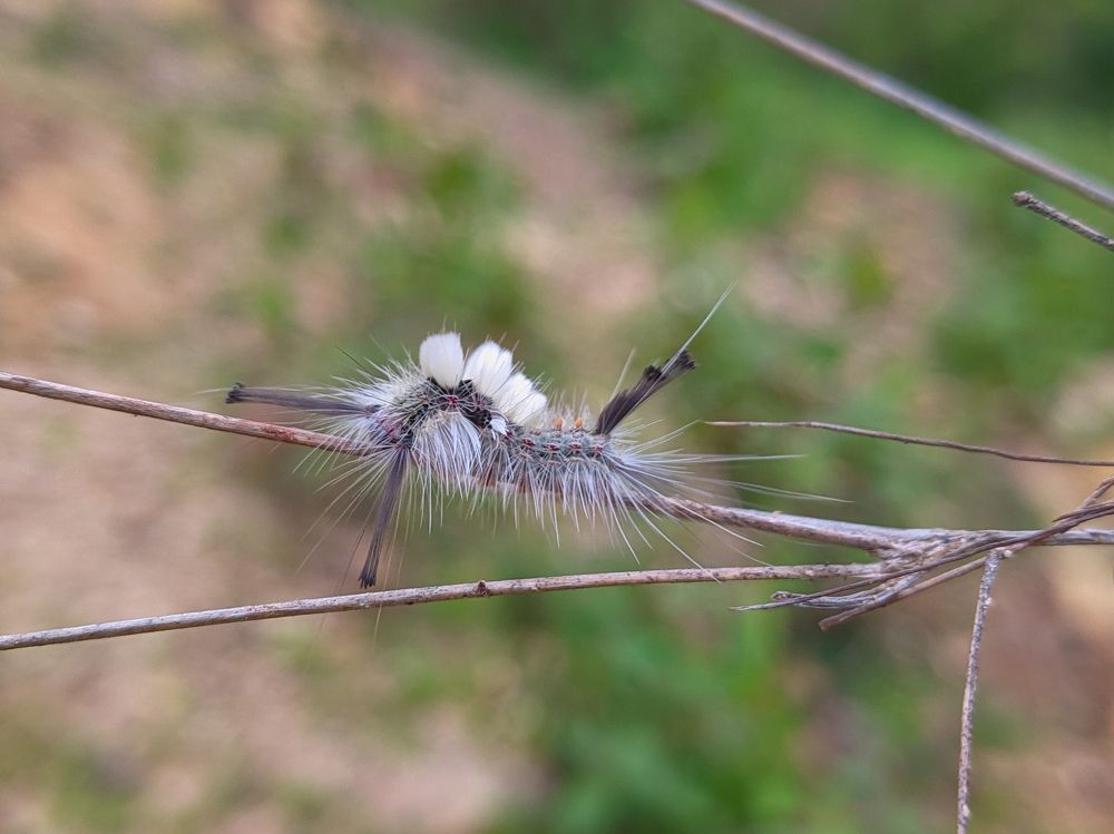 Photograph by Vijayakumar