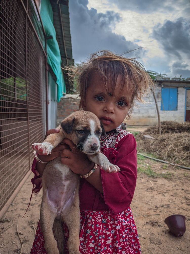 Photograph by Vijayakumar