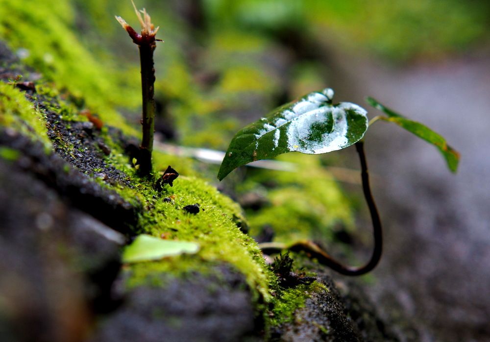 Photograph by Андрей Михайлин