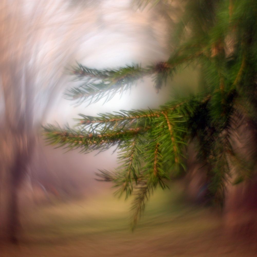 Photograph by Андрей Михайлин