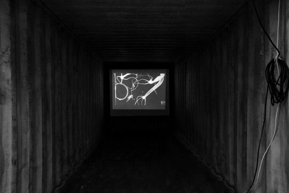 Photograph by Невен Иванов