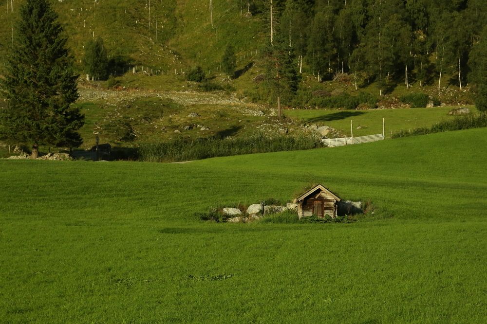 Photograph by Борис Лишневский