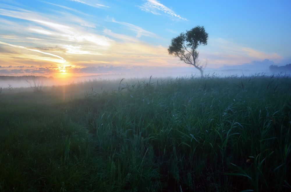 Туманное утро.