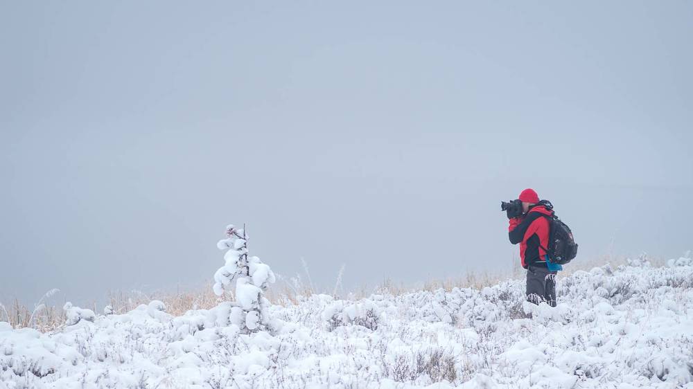 Photograph by Devender Mark