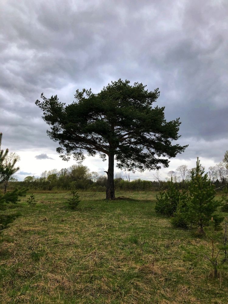 Photograph by Ирина Селиверстова