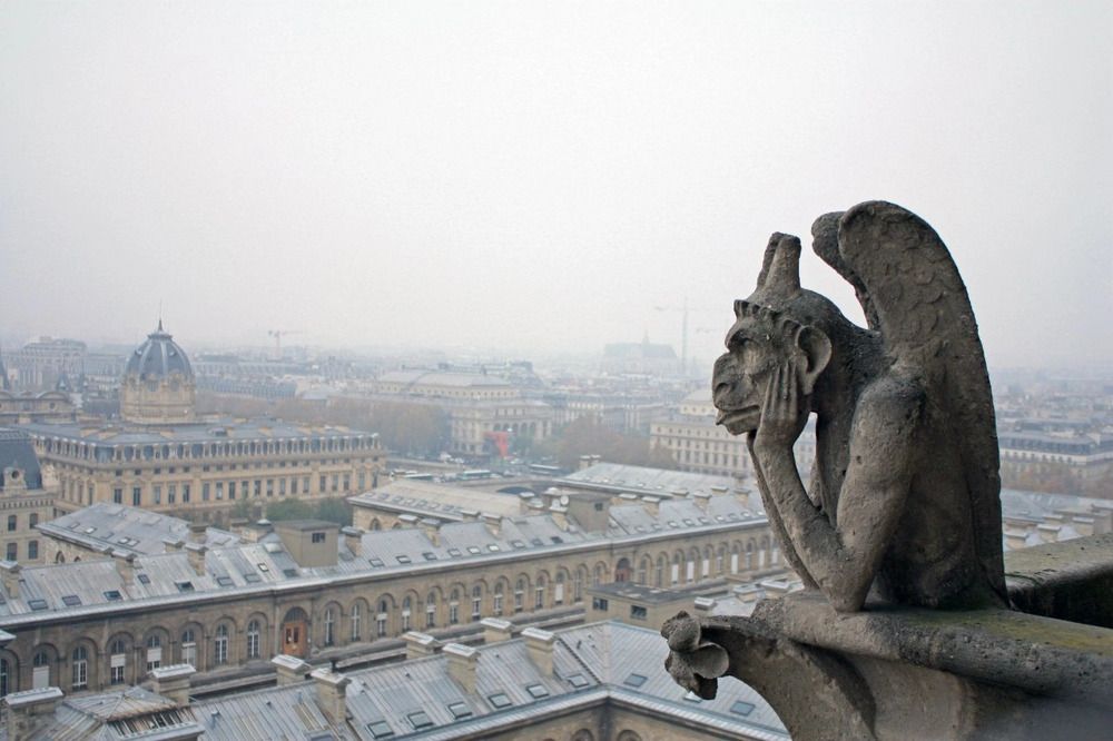 Фотография автора Дарья Петровская