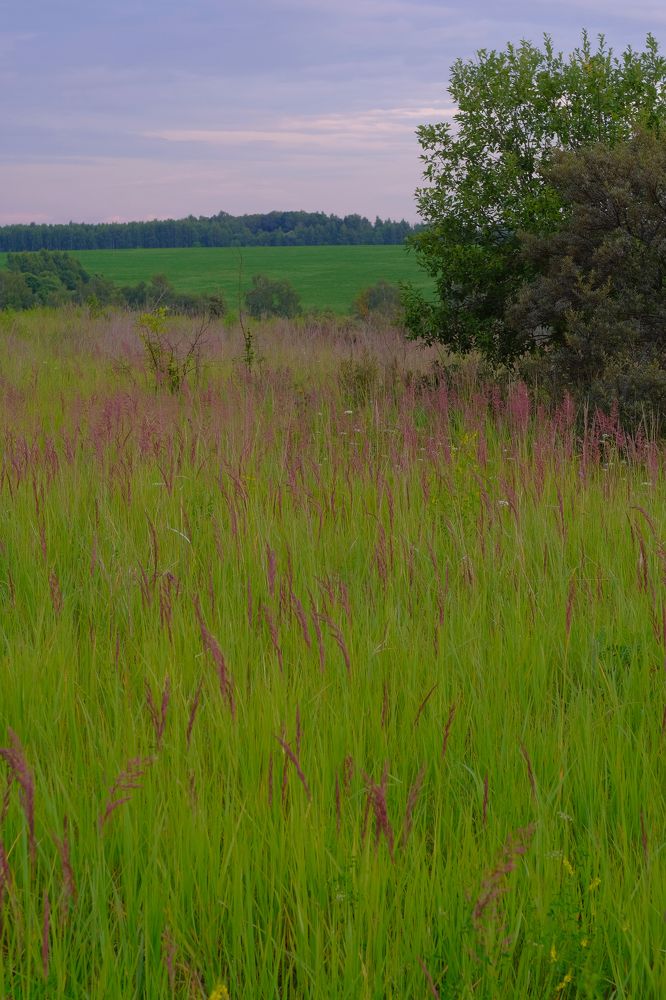 Photograph by Андрей Михайлин