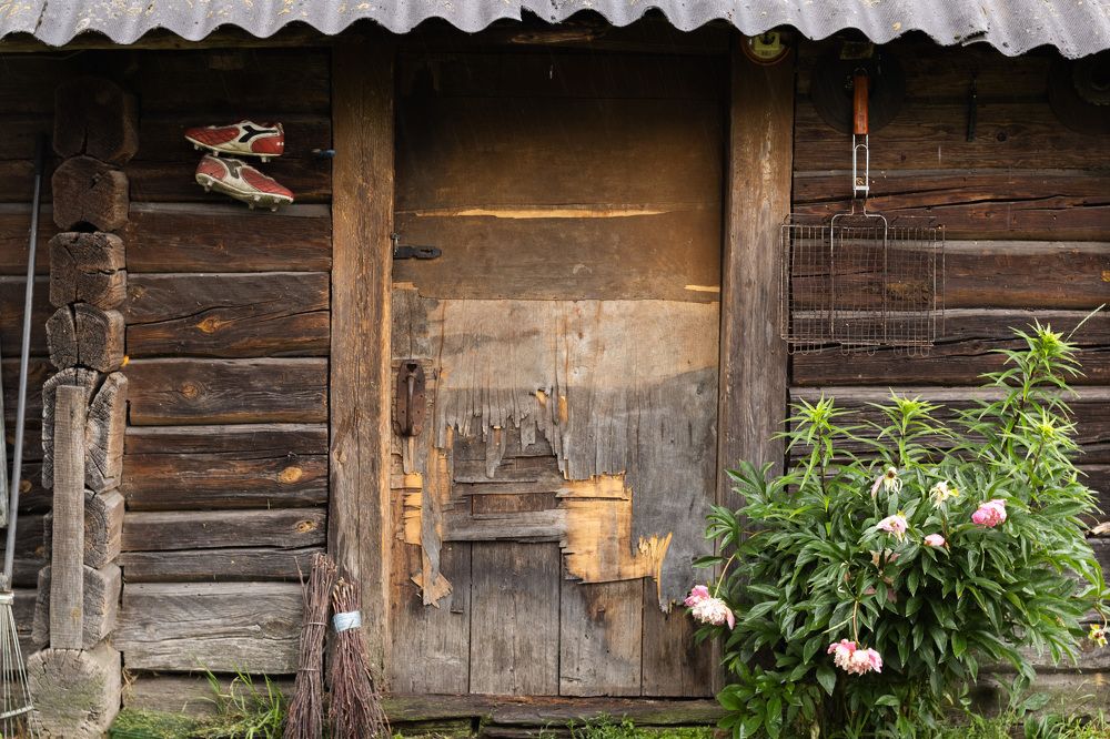 Фотография автора Настасья Грицкевич